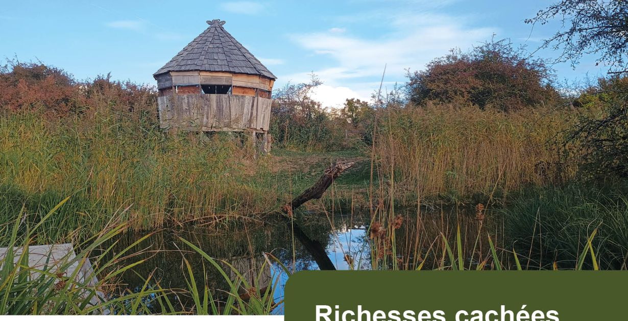 261108__chemery_les_deux_richesses_cachées_des_zones_humides.jpg