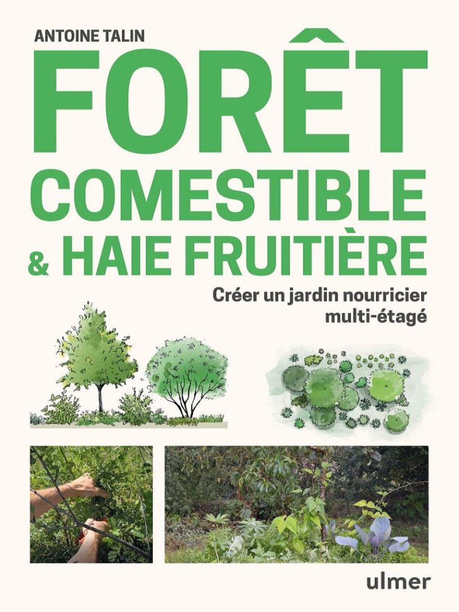 Forêt comestible & haie fruitière - Créer un jardin-forêt ou une haie fruitière en climat tempéré, méditerranéen et montagnard Le jardin-forêt est au coeur des design permaculturels actuels. Quel que soit son nom -forêt-jardin, fôret comestible, forêt nourricière, verger permaculturel o si_45469c1e7aad9bc37ed8afff47b4a6bd.img