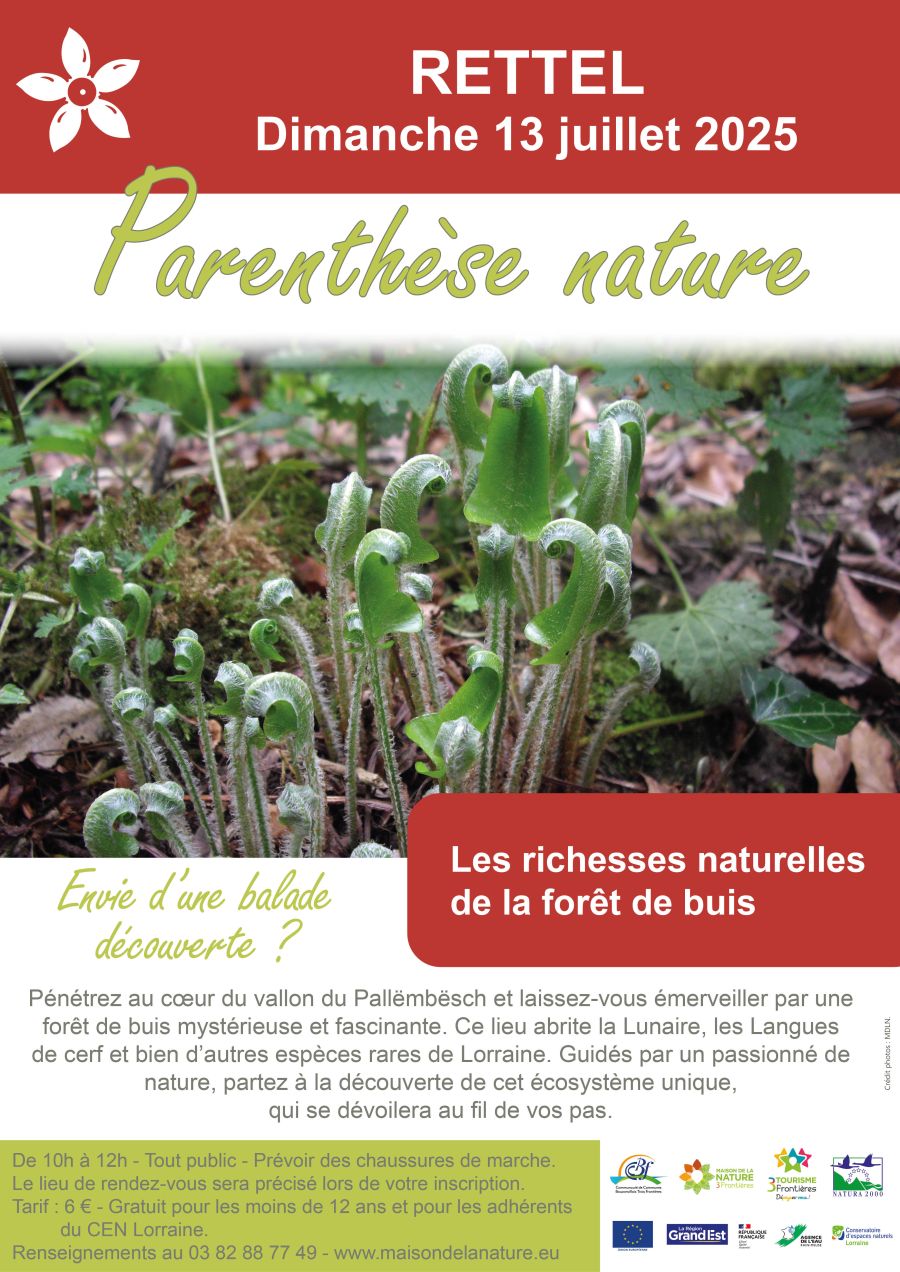 250613_parenthese_nature_rettel.jpg