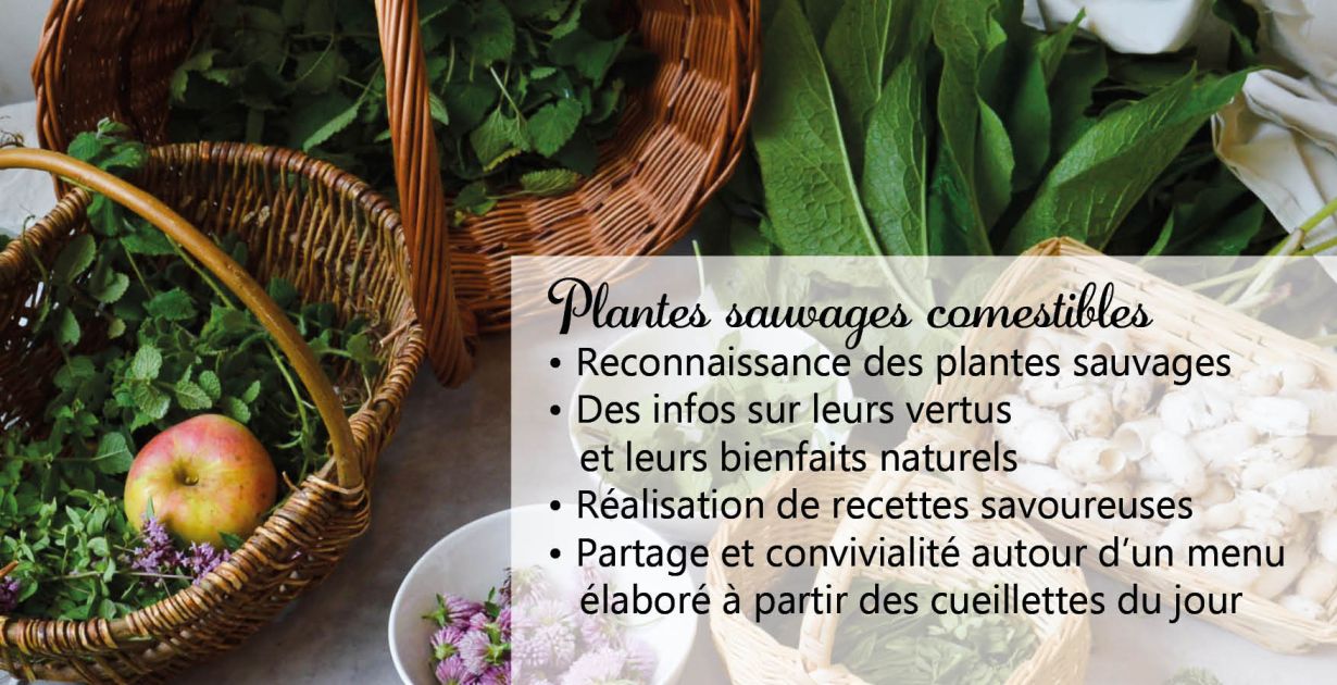 27_09_2026_cueillette_et_popote.jpg