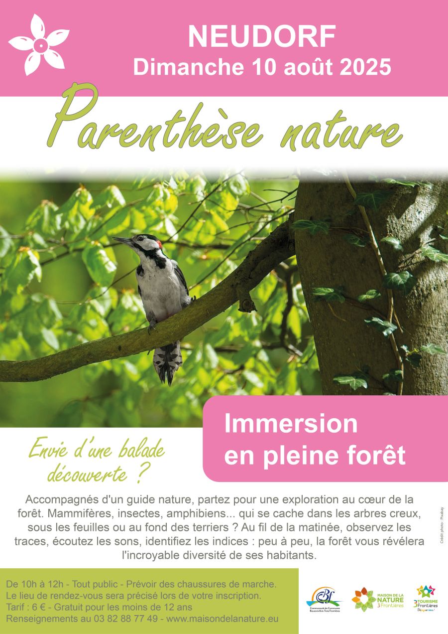 250810_pn_immersion_en_pleine_foret_neudorf.jpg