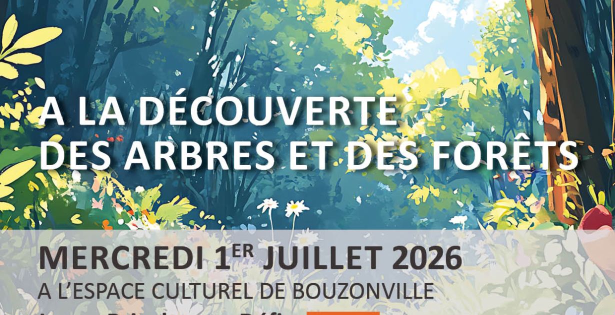 260701_ateliers_foret.jpg