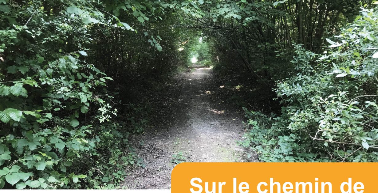 250914_pn_sur_le_chemin_de_la_biodiversite_dalstein.jpg