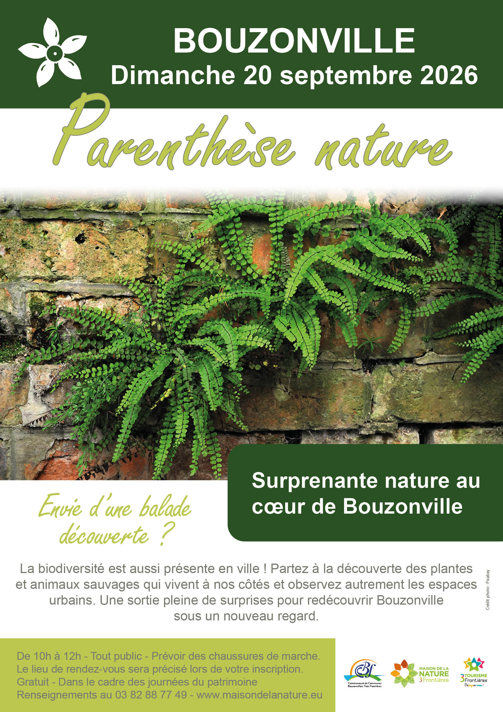 260920_bouzonville_surprenante_nature_au_coeur_de_bouzonville_v2