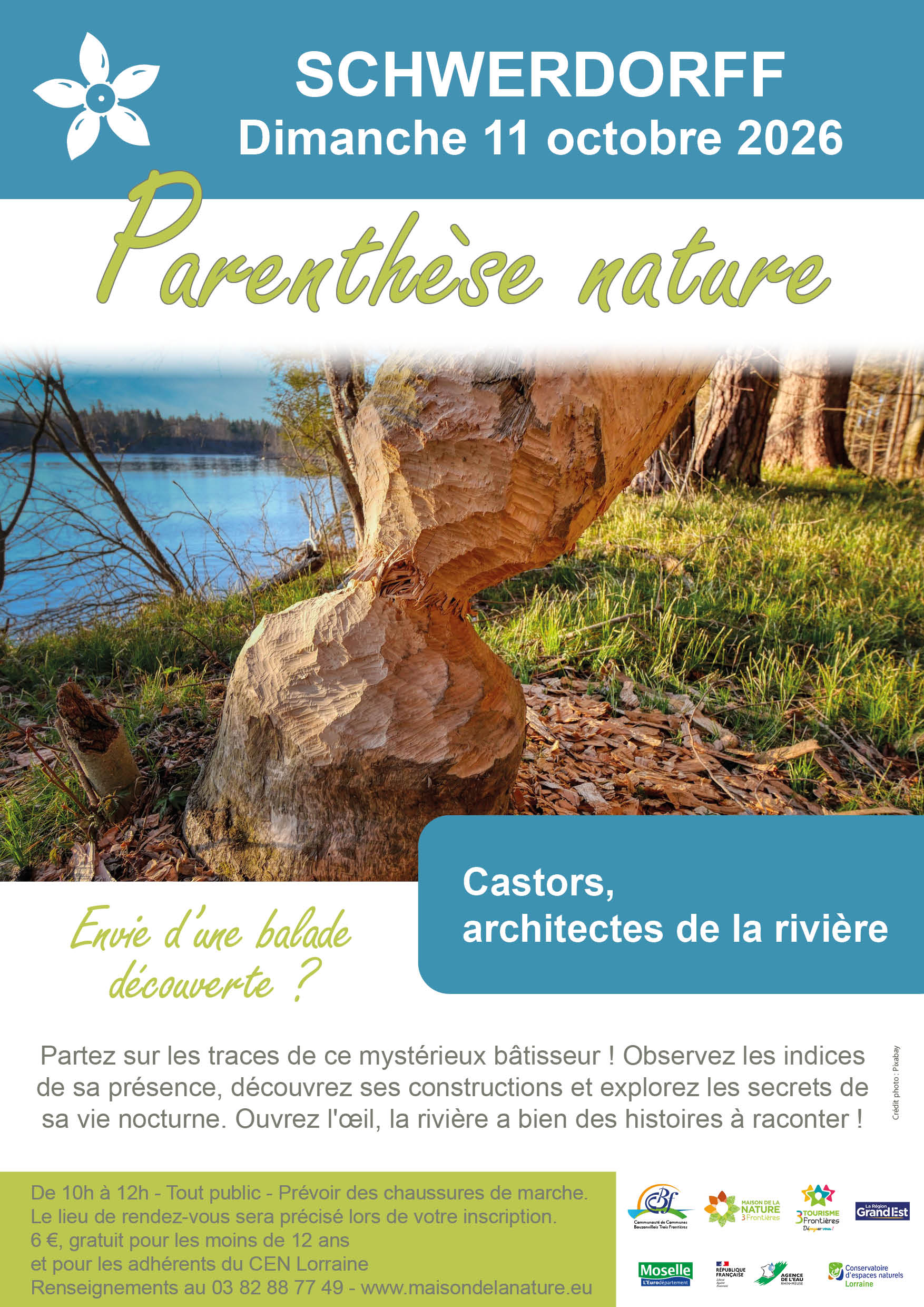 261011_schwerdorff_castors_architectes_de_la_riviere