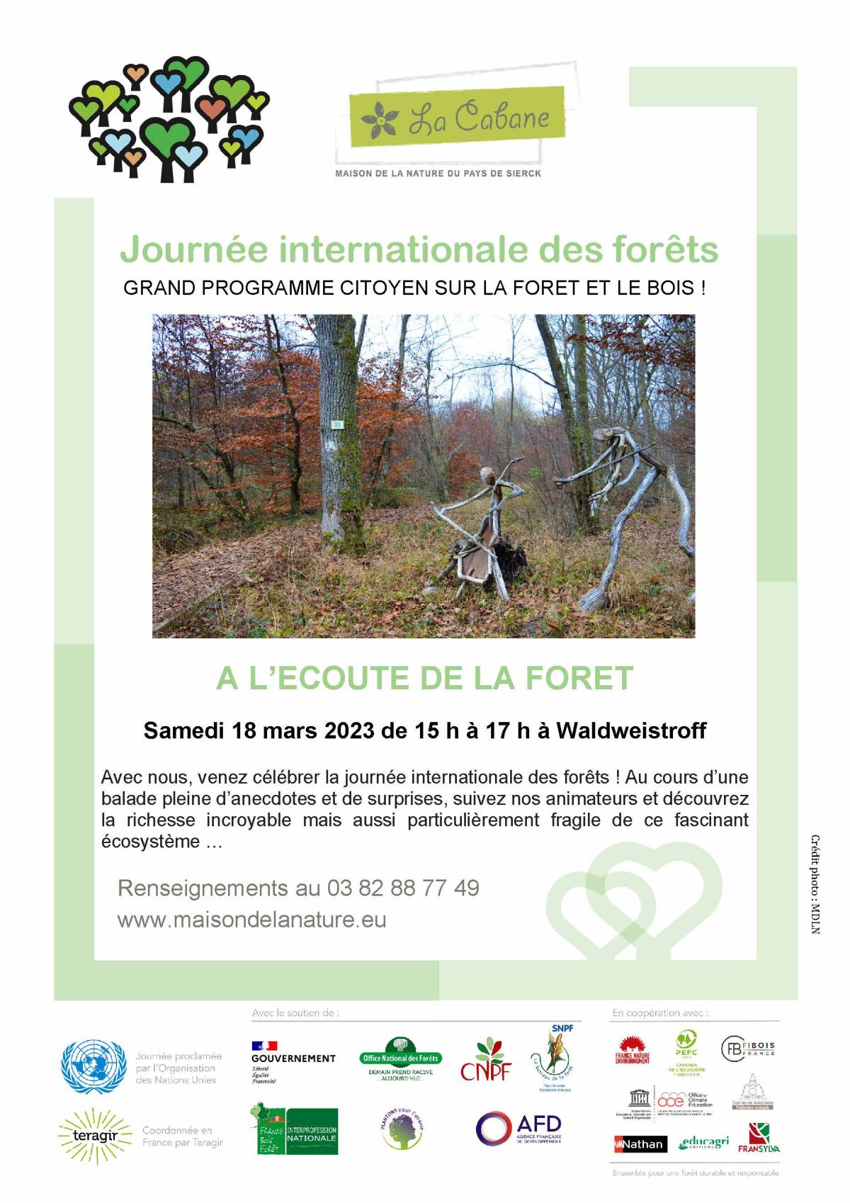 Affiche journée internationale des forets.jpg