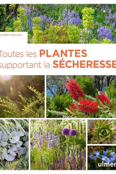 Toutes_les_plantes_supportant_la_secheresse.jpg