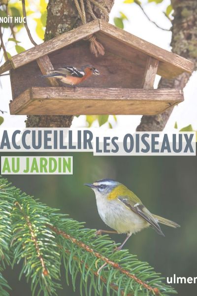 Accueillir_les_oiseaux_au_jardin.jpg