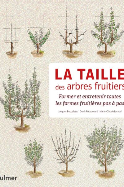 La_taille_des_arbres_fruitiers.jpg