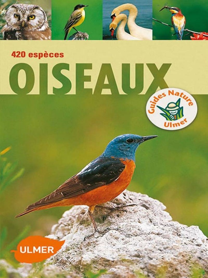 Oiseaux 420 espèces - Ce guide permet d'identifier sûrement et facilement 420 espèces d'oiseaux sauvages européens : Chaque espèce est illustrée par une ou plusieurs photos dans son environnement naturel Des dessins supplémentaires illustrent des détails utiles à l'id 420_especes_oiseaux.jpg
