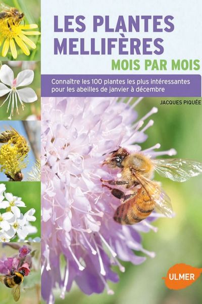 Les_plantes_melliferes.jpg