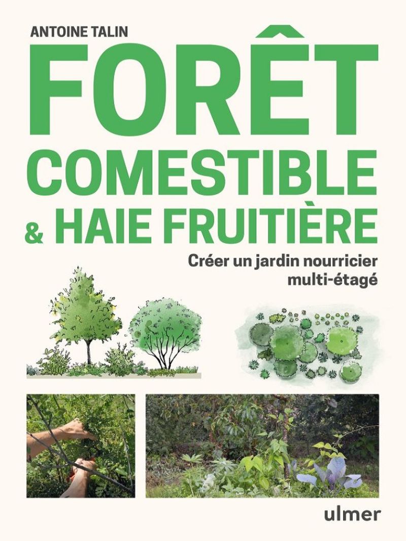 Forêt comestible & haie fruitière - Créer un jardin-forêt ou une haie fruitière en climat tempéré, méditerranéen et montagnard Le jardin-forêt est au coeur des design permaculturels actuels. Quel que soit son nom -forêt-jardin, fôret comestible, forêt nourricière, verger permaculturel o cgsi_45469c1e7aad9bc37ed8afff47b4a6bd.img