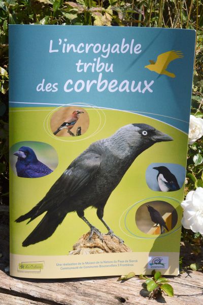 L-incroyable-tribu-des-corbeaux-1200.jpg