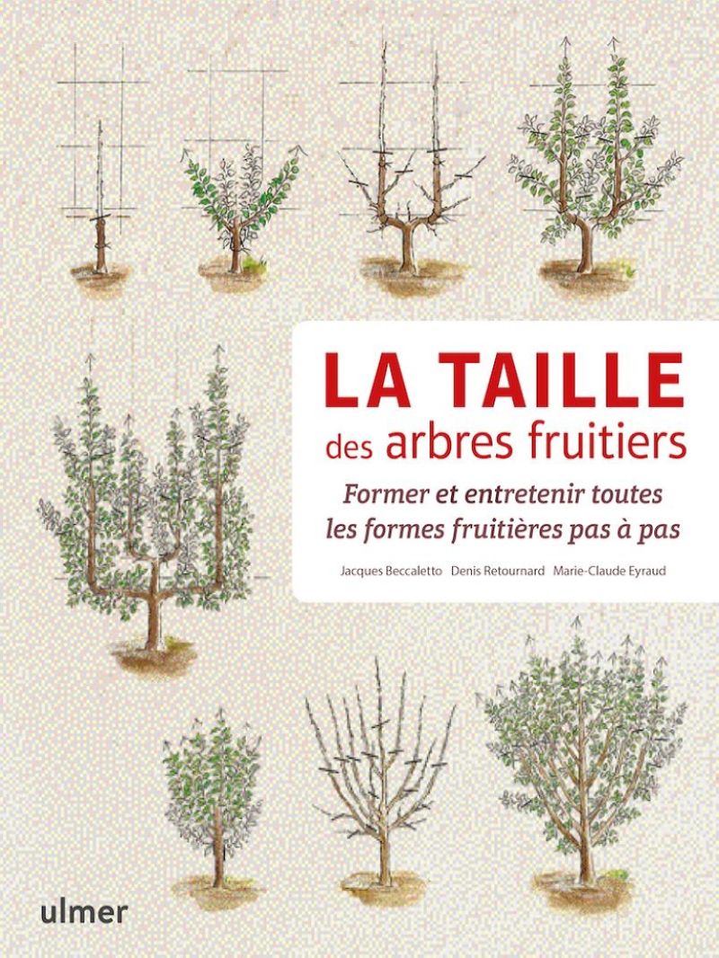 La taille des arbres fruitiers - Toutes les étapes de la taille, pas à pas, au fil des saisons et des années En s'appuyant sur des dessins d'une grande précision, ce livre décrit, pas à pas, espèce par espèce, toutes les étapes de la taille des principaux fruitiers : pommier, poirier La_taille_des_arbres_fruitiers.jpg