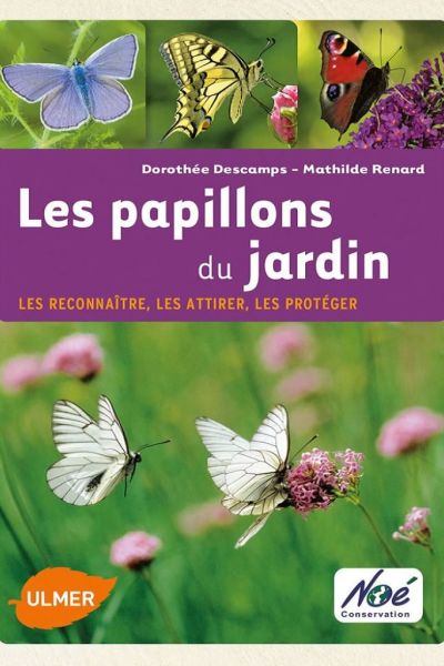 Les_papillons_du_jardin.jpg