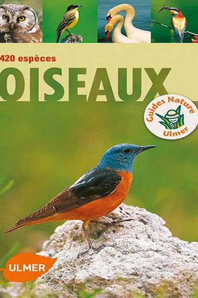 420_especes_oiseaux.jpg