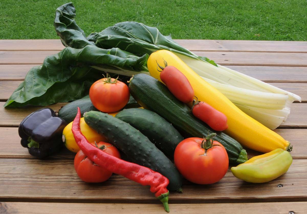 Permaculture.jpg