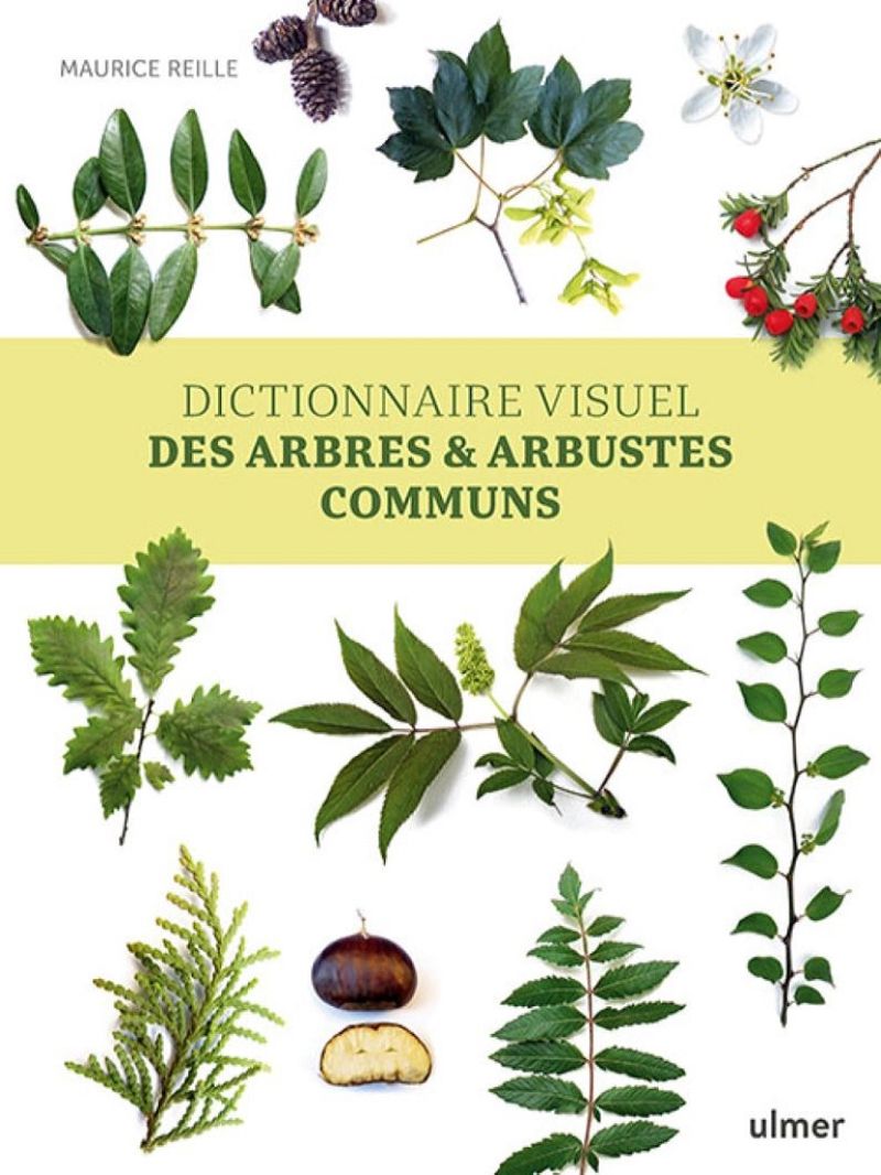 Dictionnaire visuel des arbres & arbustes communs - Les jardins : que représentent-ils pour ceux qui les possèdent et, surtout, pour ceux qui les cultivent ? Une source d'approvisionnement en légumes et en fruits frais... Un coin de nature maîtrisée, modelée en fonction des attentes et de la philosophie de cgsi_2d5d7d2ba08628f11365afb1000ad26a.img
