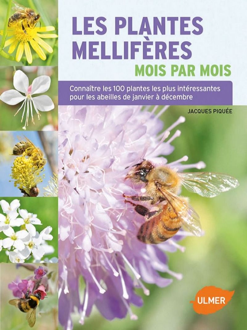 Les plantes mellifères mois par mois - Connaître les 100 plantes les plus intéressantes pour les abeilles de janvier à décembre. Une très grande diversité de plantes est nécessaire pour couvrir les besoins de l'abeille, notamment en protéines. A l'heure où les colonies d'abeilles sont Les_plantes_melliferes.jpg