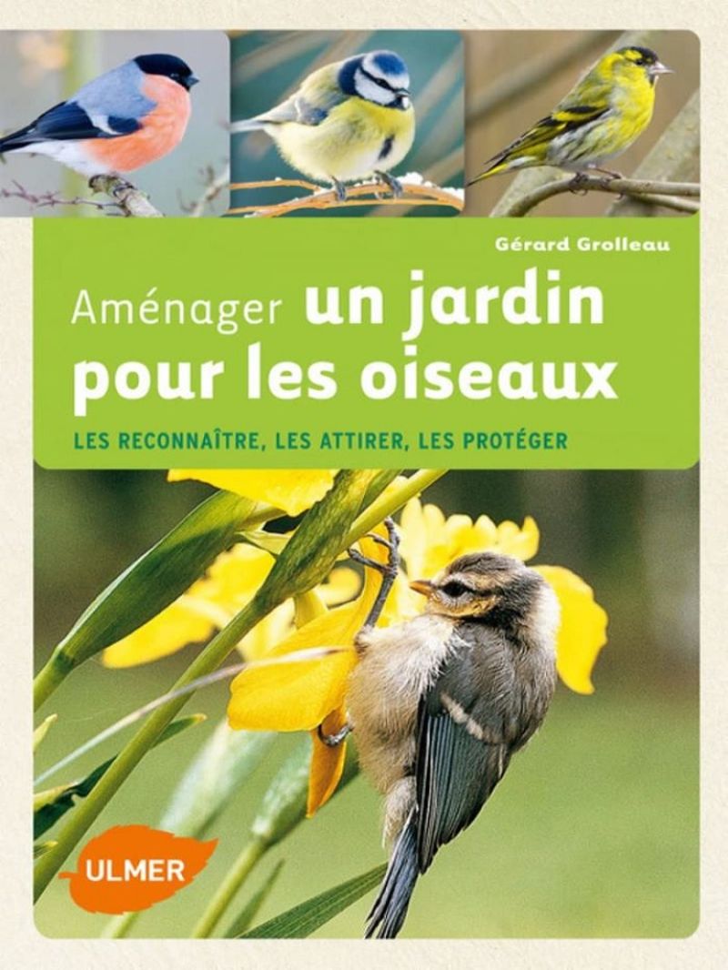 Amenager_un_jardin_pour_les_oiseaux.jpg