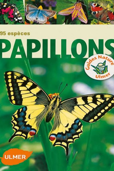 295_especes_papillons.jpg