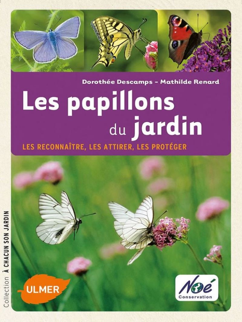 Les papillons du jardin - Les papillons se raréfient. En 15 ans, le nombre de papillons vivant dans les prairies a été réduit de moitié. Cette tendance n'est pas inéluctable et chacun, dans son jardin, peut contribuer à leur retour. Vous trouverez dans ce guide tous les conseils Les_papillons_du_jardin.jpg