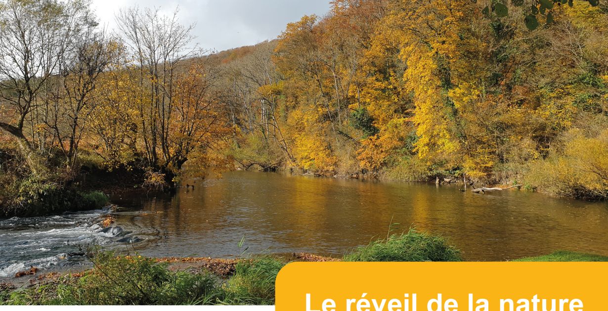 PN le réveil de la nature au grafenthal 12.03.2023 SCHWERDORFF.jpg