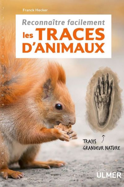 Reconnatre_facilement_les_traces_d_animaux.jpg