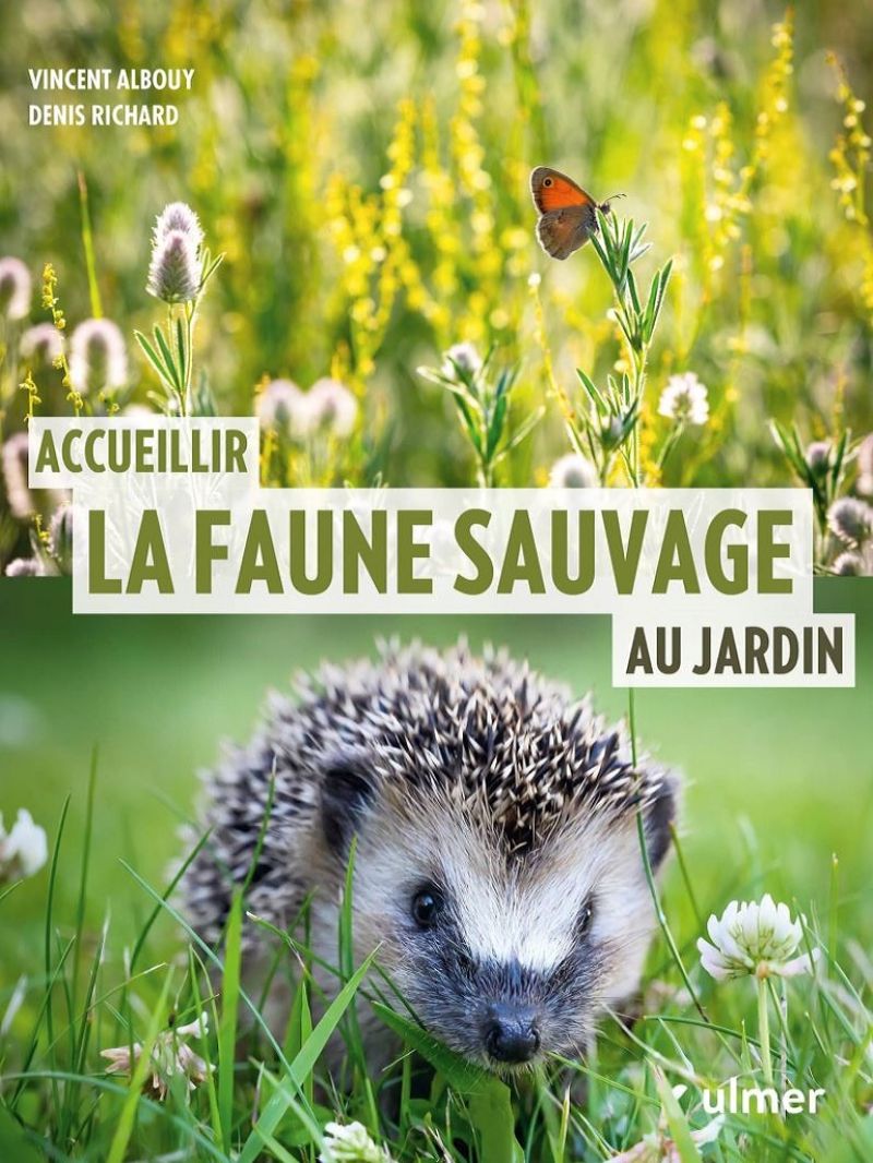 Accueillir la faune sauvage au jardin - ENSAUVAGEZ VOTRE JARDIN ! Où sont passés les bourdons, les papillons, jadis si nombreux à venir butiner en été au jardin ? Et les orvets, autrefois locataires courants des tas de compost ? Même le banal moineau domestique est en régression partout en Accueillir_la_faune_sauvage_au_jardin.jpg