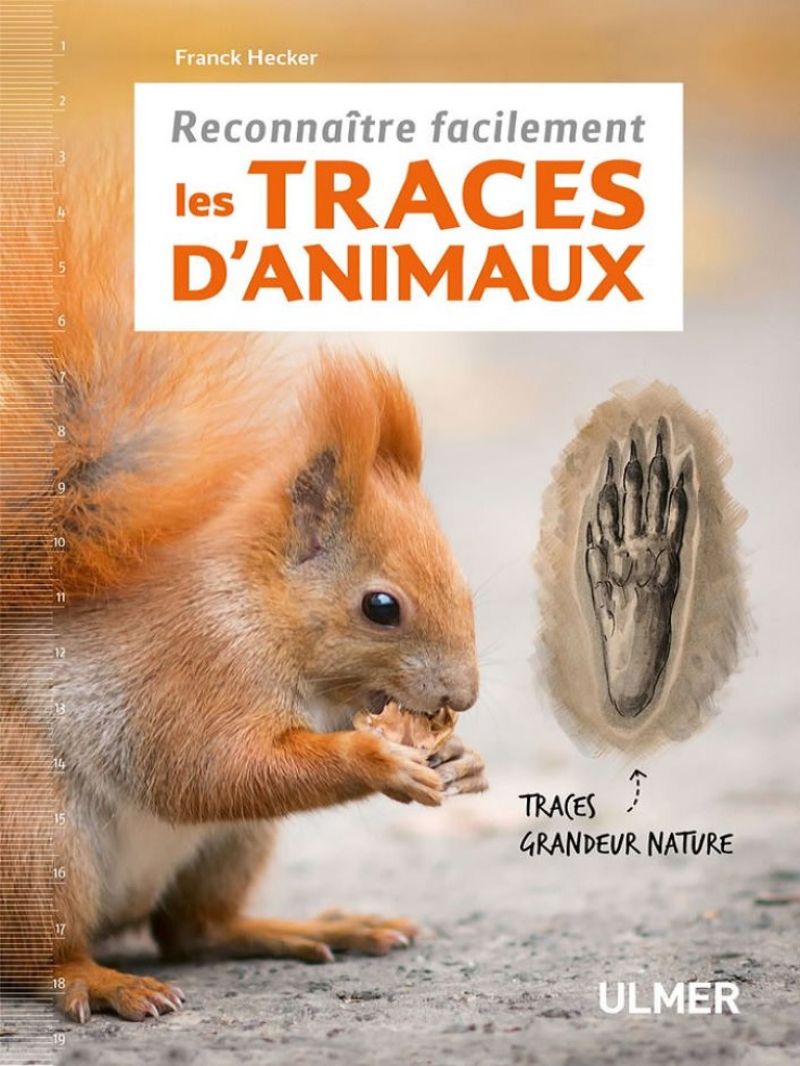 Reconnaître facilement les traces d'animaux - Des indices révélateurs Dès qu'un être humain pénètre dans la nature, la plupart des animaux filent se cacher. Mais pour l'observateur attentif, les traces de leur présence sont partout. À condition de savoir où et comment chercher. Ce guide prés Reconnatre_facilement_les_traces_d_animaux.jpg
