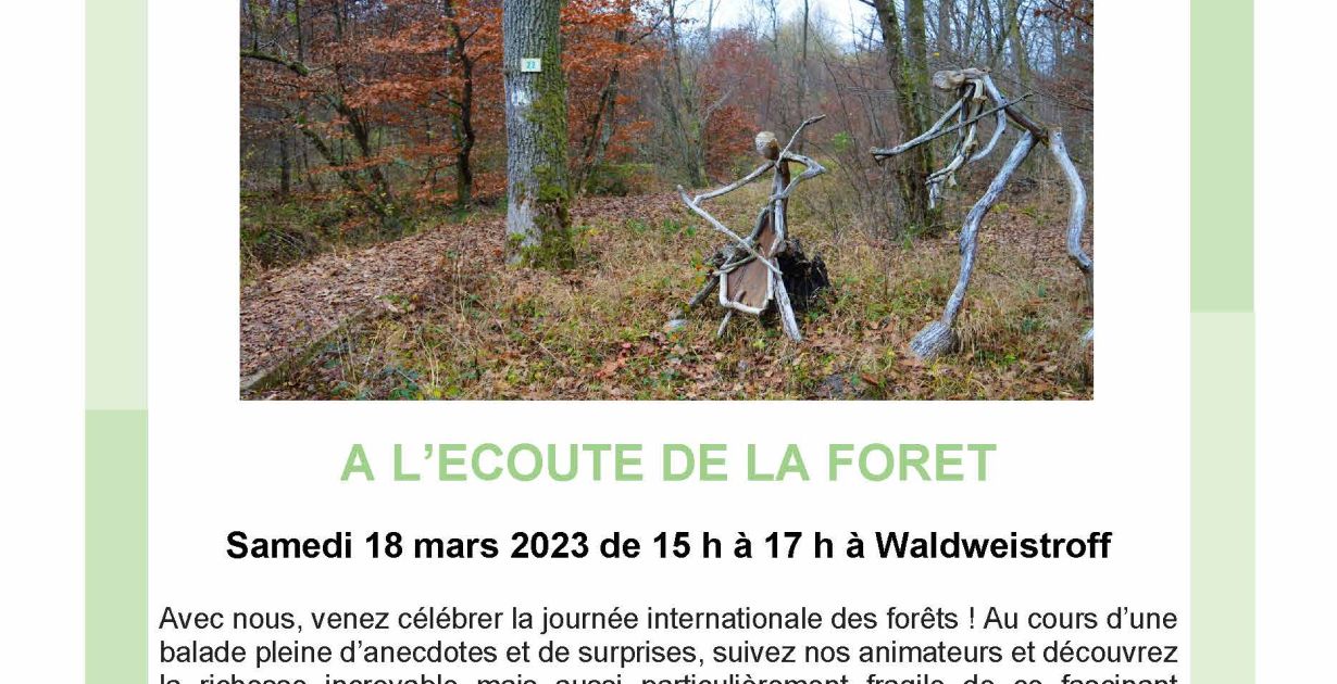 Affiche journée internationale des forets.jpg