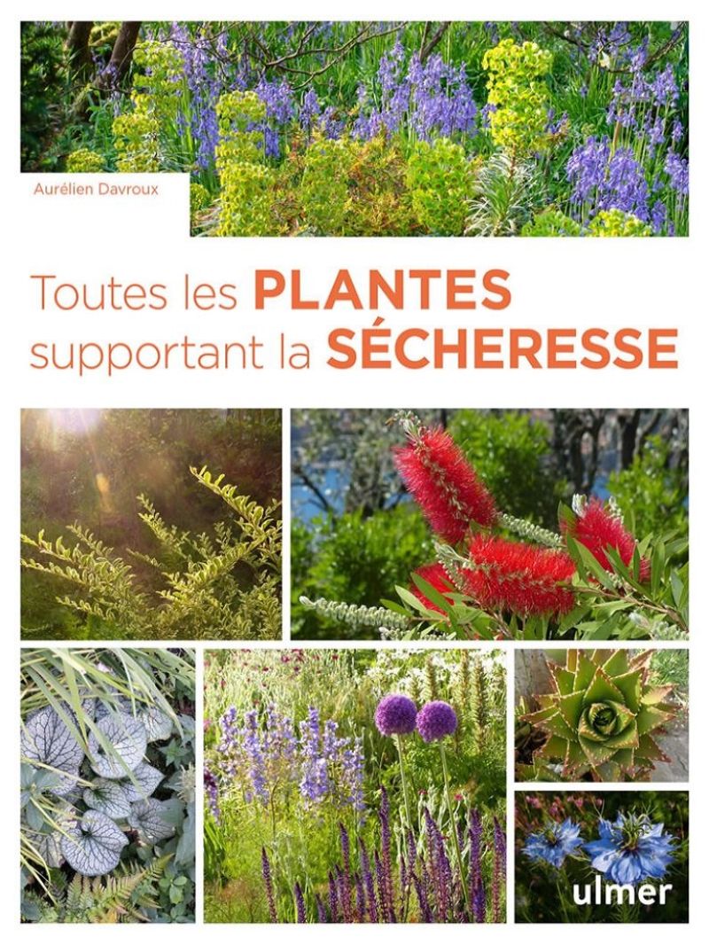 Toutes les plantes supportant la sécheresse - Face aux enjeux climatiques, il est indispensable d'utiliser dans nos jardins des plantes qui résistent à la sécheresse sans nécessiter d'arrosage. Ce livre présente plus de 450 plantes pour toutes les situations du jardin et toutes les régions, désormai Toutes_les_plantes_supportant_la_secheresse.jpg